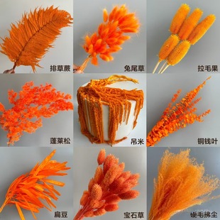 �ɻ���������ɫ���׷������R���~�X�~��β���Ų���ë��