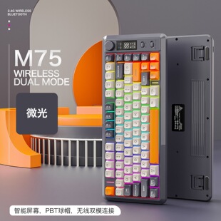 ������M75�o���{���pģƴɫ�l���I�P�Α�늸��k���o��PBT��ñ�I��