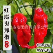 �tħ�����N������ӡ�ȹ����N�ӳ�����ħ�������ˈ@�̨����������