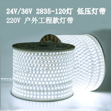 led灯带220V 5050户外工程照明户外防水养殖塔吊工地地下室24V36V