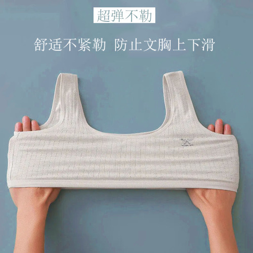 [Send in seconds] Girls vest pure cotton underwear 10-16 years old primary and junior high school students double layer anti-bulge tube top