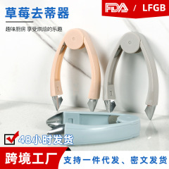 イチゴの蒂取り器、トマトとパイナップルの目抜き器、キッチン用品のクリップ、パイナップルナイフ、イチゴの蒂取り器