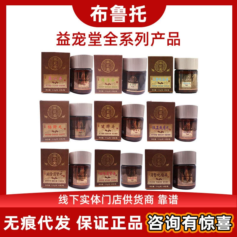 Yi Pontang Yi Shi Dan Yi Gu Dan To Xiao Dan Yi Dan Yi Dan Yi Dan Qi Xingdan