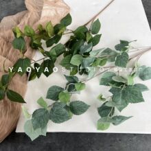 ��֦�ع��~ �zӡ������ֲ�����~�Ә��~�҃��bӰ巿�Ĕz����