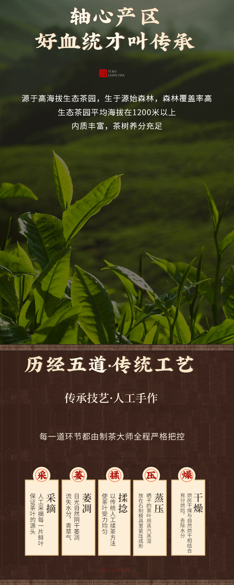 景迈普洱茶_04.png
