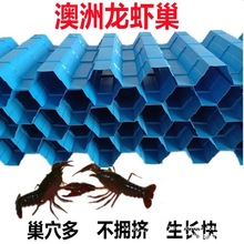 澳洲龙虾巢小龙虾养殖巢屋洞穴窝螃蟹巢备巢蚂蝗水蛭繁殖休息板