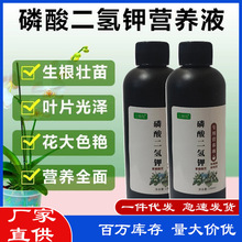 �������⛠I�BҺ����ֲ���~����ϻ���ͨ���B���N���߻�����ϡ�