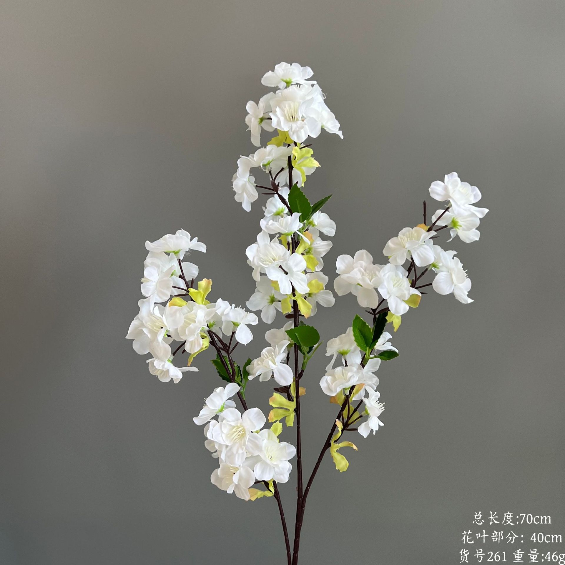 상품 번호 261 - 삼지사쿠라 (Samsaji Sakura)