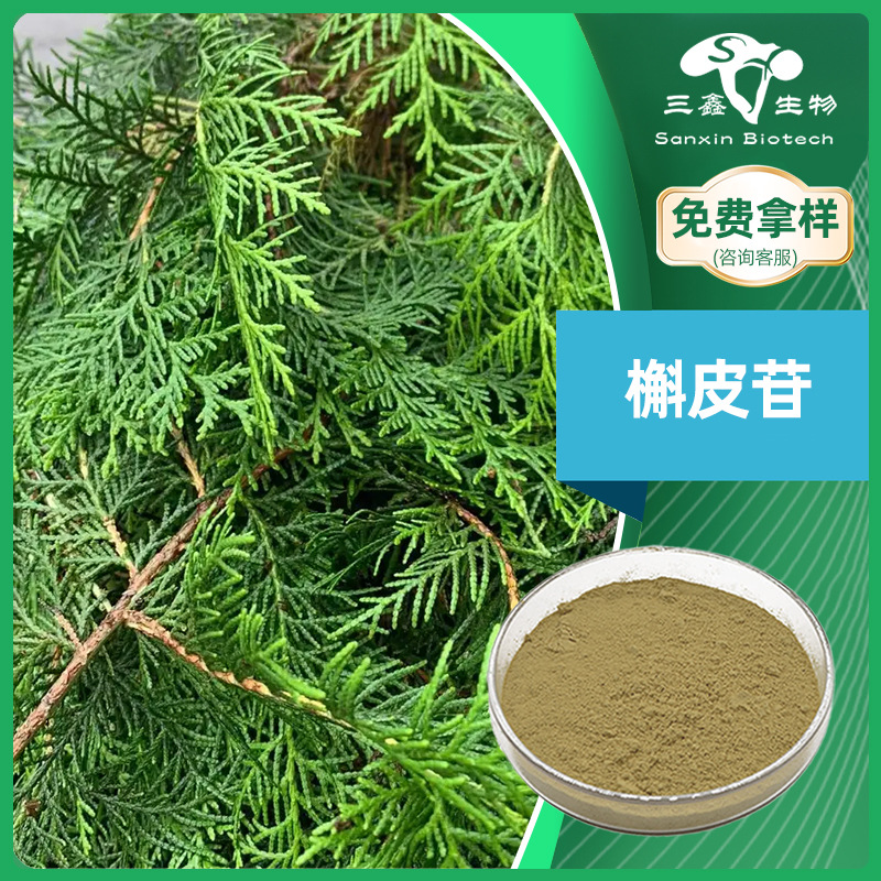 可定制槲皮苷0.8%1%侧柏叶提取物粉Quercitrin多规格522-12-3原料