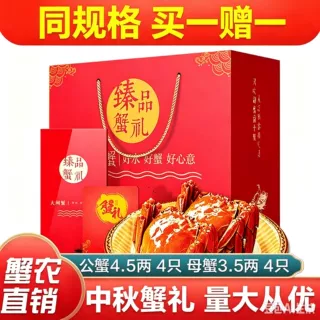 团购公蟹4.5两母蟹3.5两鲜活大闸蟹鲜活螃蟹精品大闸蟹养殖地直发