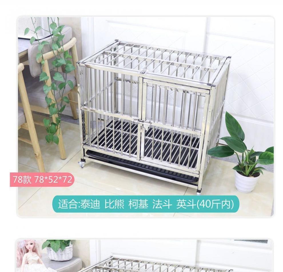 c12ce884-1211-4f0a-a317-de25322f5560.jpe