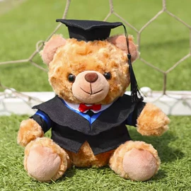 毛绒玩具;ins公仔;公仔抱枕