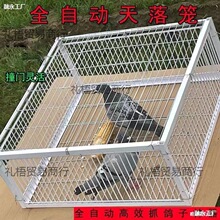 �� ץ���ӻ\ȫ�Ԅ������\����\��픑���ֻ�M����Ұ�����