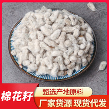 ޻юql ޻޻Nӎë޻ă|