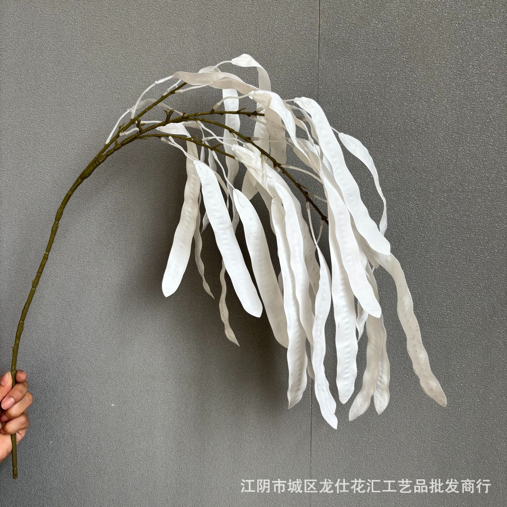 완두콩 꼬투리
