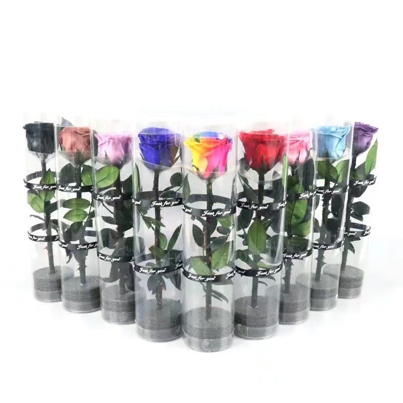 Bulk Preserved Roses with Stems in PVC Packaging - Mother's Day, Valentine's Day, Christmas Gift