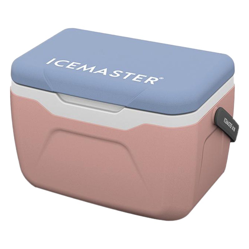 Venta al por mayor 5.5L L para llevar caja de regalo portátil fruta fresca caja de Bento 20 L incubadora comercial