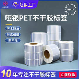 亚银标签贴50 60 80 90 100固定资产不干胶贴纸防水防撕pet不干胶