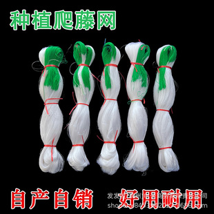 پWSϽz϶ֲWɽșWSֱNlNl