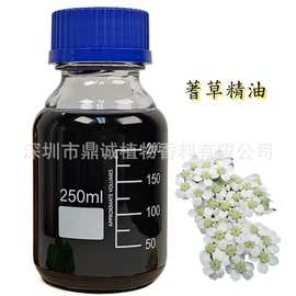 茎叶精油】西洋蓍草精油蓍草蒸馏提取芳疗深蓝色天然芳香精油