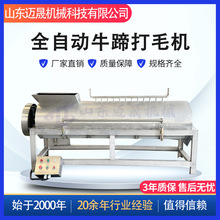 全自动羊蹄牛蹄脱毛去毛机 猪牛蹄螺旋烫打毛机 不锈钢牛蹄打毛机