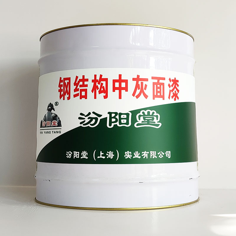 钢结构中灰面漆、厂家批量、钢结构中灰面漆、选汾阳堂品牌