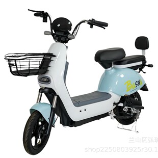 源頭工廠跨境外貿電動自行車冰墩墩超長續航輕便電動車二輪電瓶車
