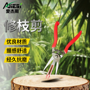 �ɹ�������ϡ�����p���軨���޻�֦���O������������ժժ������