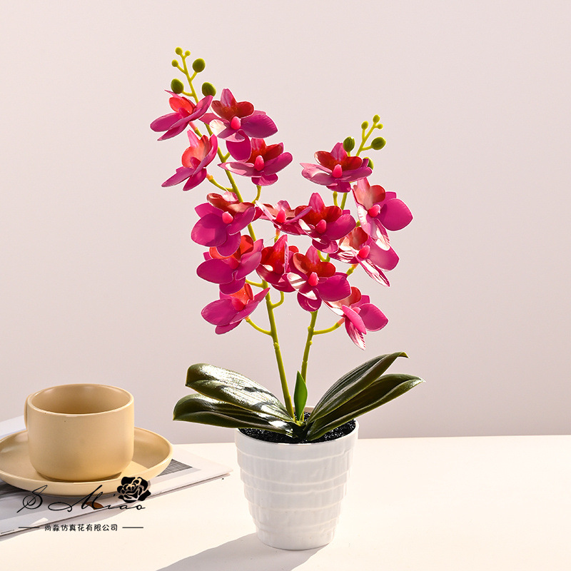 15 flores Phalaenopsis bonsai flor artificial moda creativa decoración de flores decoración artificial planta verde simulación pequeña en maceta image 5