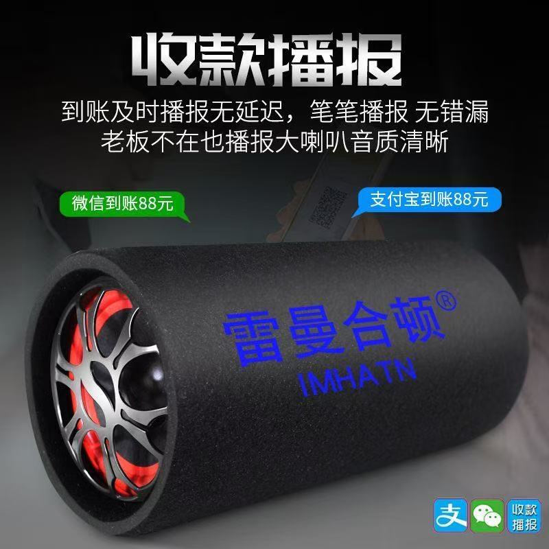 Car Subwoofer 12V24V Heavy Bass Car High-Power Truck Speaker Wireless Bluetooth 220V Home Audio