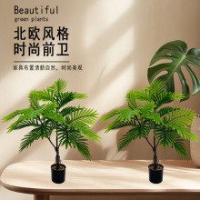 RdGֲɢβؙ҃ҾӔ[Ob٘羳