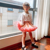 Skirt, evening dress, small princess costume, tutu skirt, Birthday gift