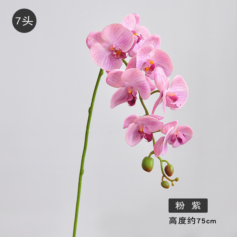 7 머리 핑크 보라색