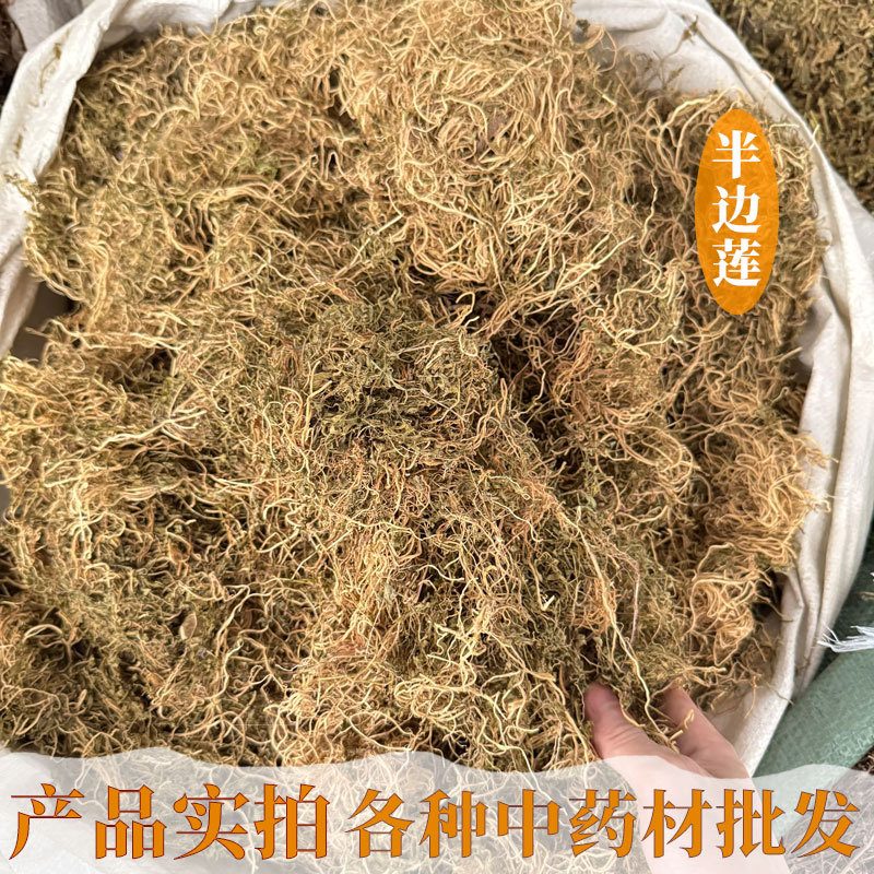 中药材半边莲正品半边连 半边菊 金菊草 吹风草 半边旗 散装批发
