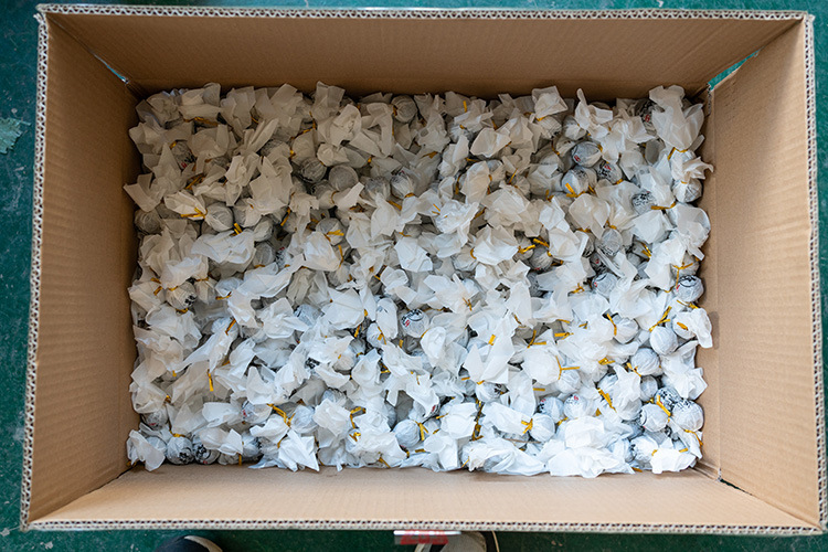 龙珠实拍 (2).jpg