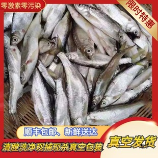 ȫ���]С���~Ұ�~�חl�~���l�����~��ˮ�~�N���~�F��ȥ�c���