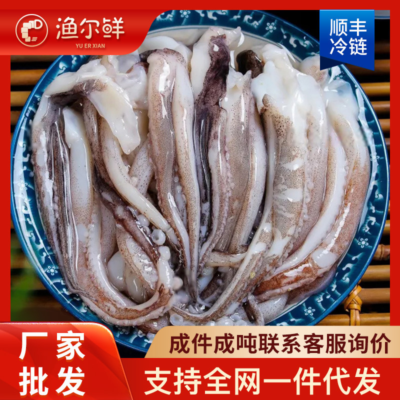 二本足鱿鱼须新鲜烧烤铁板鱿鱼串鲜活冷冻海鲜火锅食材水产批发
