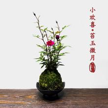 ��΢ˮ�༧�¼��ļ��_�����̨��������С����ˮ������̦�\��ֲ��