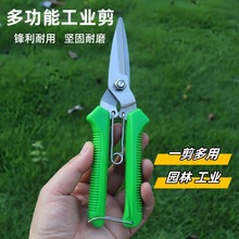 ���I��늹������h�����~�����FƤ���I�ø�Ӳ�Ȳ��P���֦���ò�ժ