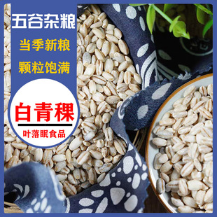 新白青稞米5斤1斤 青藏高原粮食谷物青稞米去皮煮粥青稞麦仁包邮-阿里巴巴