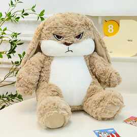 择偶记丢丢兔毛绒玩具公仔垂耳兔子玩偶儿童抱枕床上陪睡礼品娃娃
