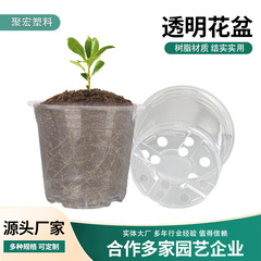 Amazon 肥厚透明植木鉢家庭用根制御苗ポット新しいプラスチック苗ポットガーデニング花植栽ポット