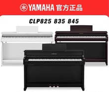 雅马哈电钢琴CLP—835立式数码钢琴88键重锤高端家用专业表演
