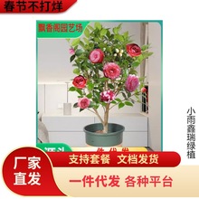 һ�����l�軨���԰�ʮ�ˌWʿ�����̨�҃ȿ͏d�ļ��Gֲ��ͥԺ