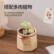 创意八角哑光多肉专用花盆陶瓷竖纹圆口家用桌面肉肉盆摆件可批发