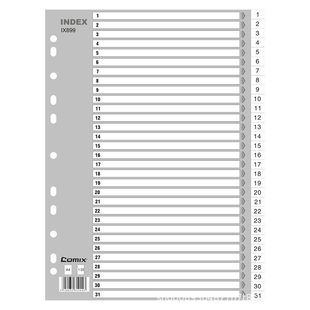 Qixin Ix899 Easy Classification Monthly Index Paper A4 31 Pages 1-31 11 Holes Pp