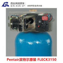 �I�ؠ�Pentair ԭ�bFLECK���R���y3150 ����22�� �M��ˮ��2��