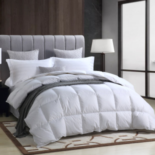 Five-star hotel quilt core Spring and Autumn quilt pure cotton anti-feather cloth double needle feather velvet Hotel B & B Special factory wholesale