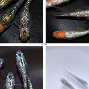 �^�����F��ˮ�^�p�~ħ���~��ˮ�~С�\�����������Ӝػ��w������]