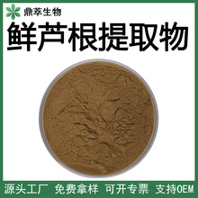 鲜芦根提取物10:1 水溶鲜芦根粉 芦根萃取浓缩粉厂家包邮量大价优